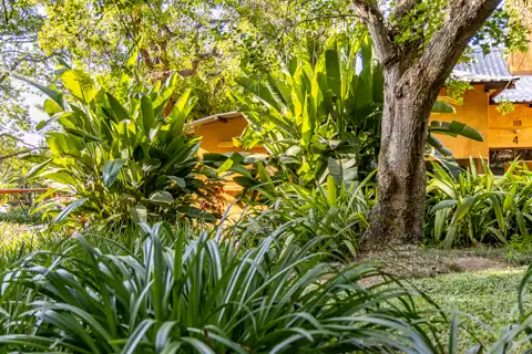 Gardens | Gecko Lodge | Holiday Accommodation