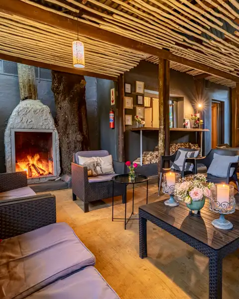 Bar | Gecko Lodge | Holiday Accommodation